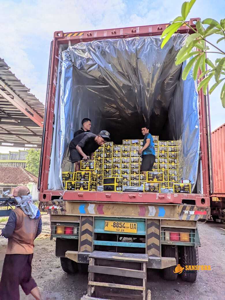 Gallery Sansfara Global (4)