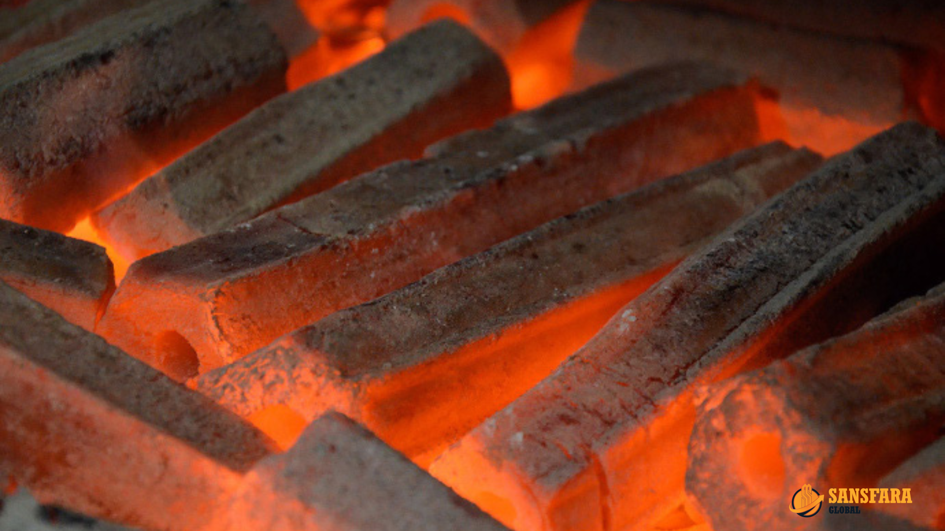 Sawdust Briquettes Detail