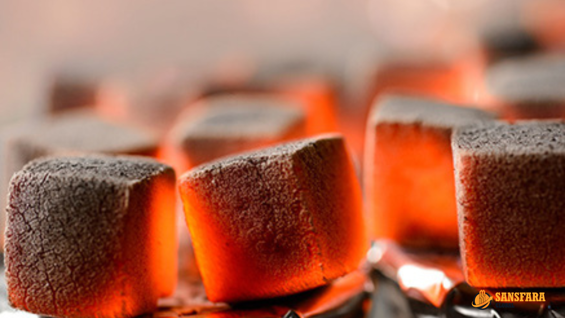 Shisha Briquettes Detail