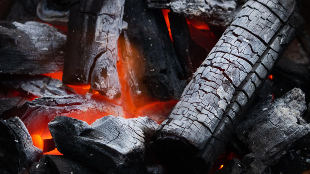 our products sansfara charcoal 3 Demand for Indonesian Charcoal
